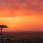 Golden sunrise over the endless plains of Serengeti National Park, Tanzania